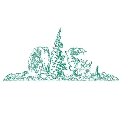 ARBORETUM FOUNDATION