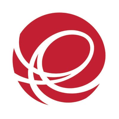 THE EDLONG CORPORATION