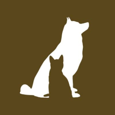 THE PETERSON COMPANY