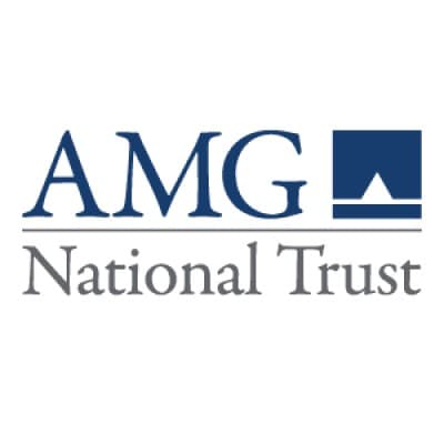 AMG NATIONAL CORP