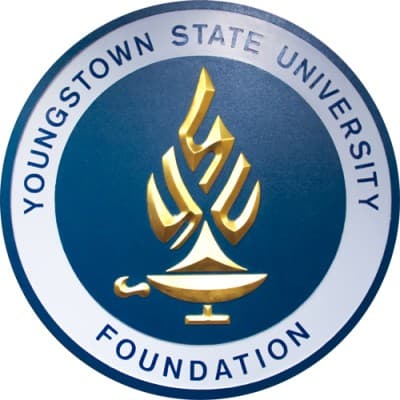 YOUNGSTOWN STATE UNIVERSITY FOUNDATION