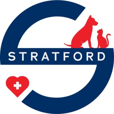 STRATFORD CARE USA INC