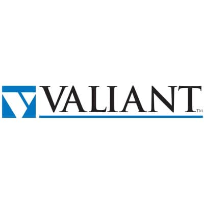 VALIANT PRODUCTS CORPORATION