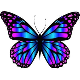 THREE WHITE BIRCHES DEVELOPMENT