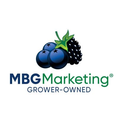 SVF BLOOMINGDALE, INC.