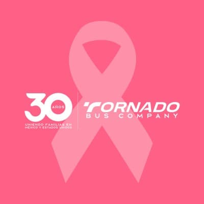 TORNADO BUS COMPANY logo image