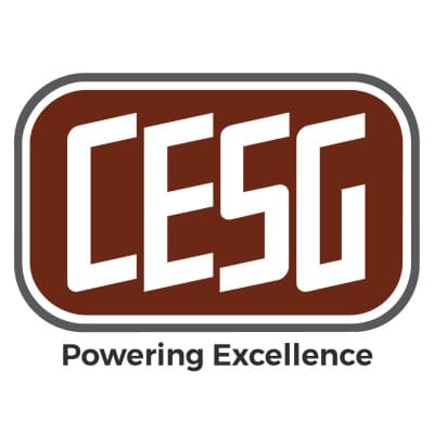 CRITICAL ELECTRIC SYSTEMS GROUP, LLC