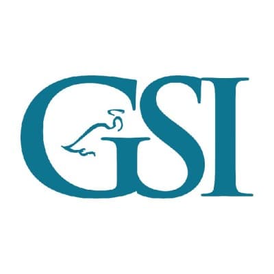 GUARDIANSHIP SERVICES, INC.