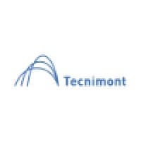 TECNIMONT USA INC