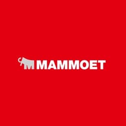 MAMMOET USA SOUTH, INC
