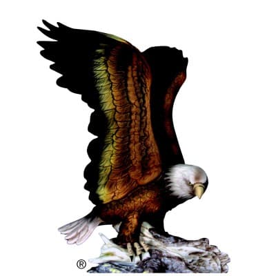 BROOKS, TODD & MCNEIL