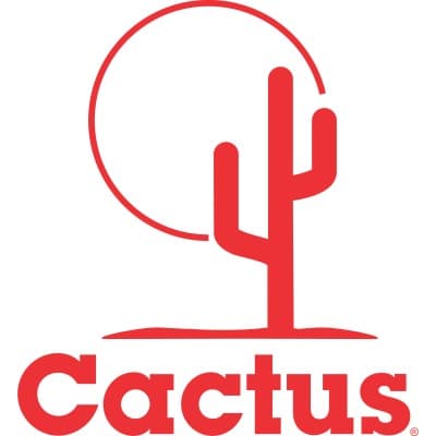 CACTUS WELLHEAD, LLC
