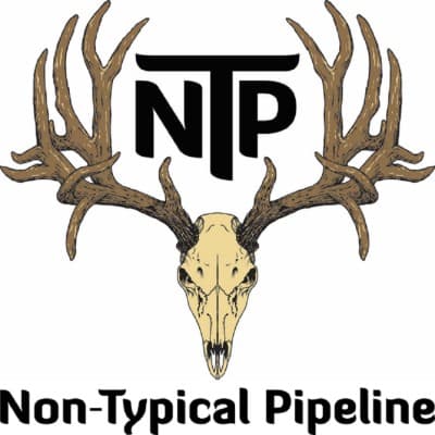 NON TYPICAL PIPELINE logo image