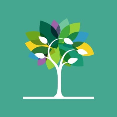 THE CARNEGIE FOUNDATION FOR THE ADVANCEMENT OF TEACHING