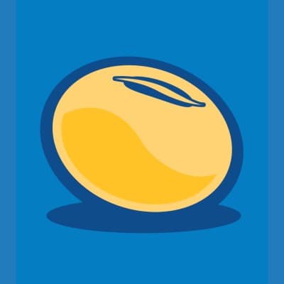 IOWA SOYBEAN ASSOCIATION