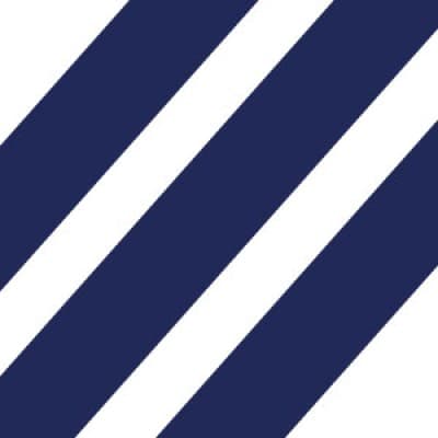 ORISON HOLDINGS, LLC