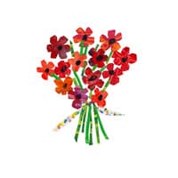 THE ERIC CARLE MUSEUM OF PICTURE BOOK ART, INC.