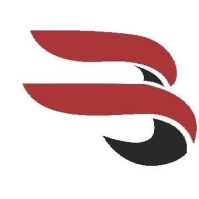 BRASWELL SERVICES, LLC