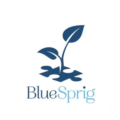 BLUE SPRIG PEDIATRICS INC.