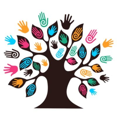 SOUTH CENTRAL COMMUNITY ACTION