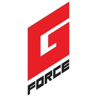 G-FORCE & ASSOCIATES, INC.