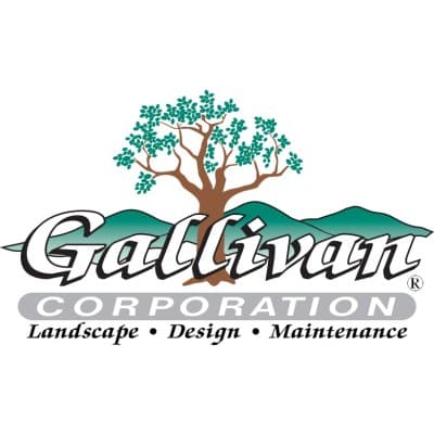THE GALLIVAN CORPORATION