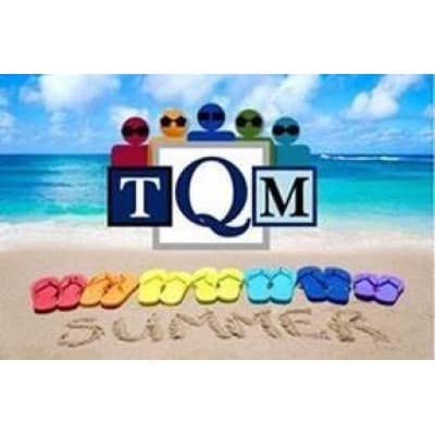 TQM LOGISTIC SOLUTIONS INC