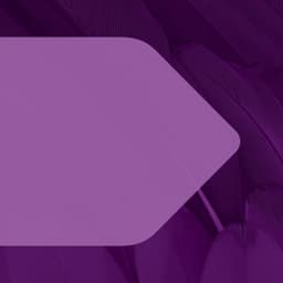 DENTONS DAVIS BROWN P.C.