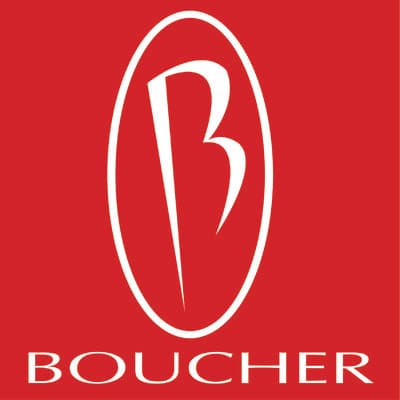 THE BOUCHER GROUP, INC.