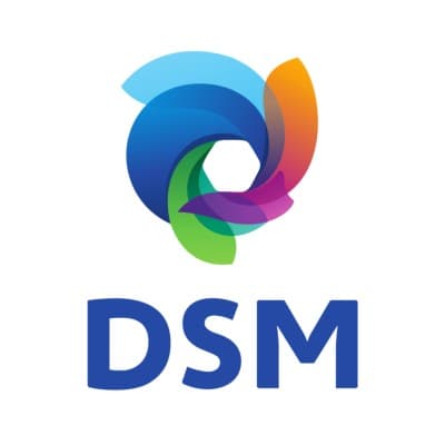 DSM ENGINEERING PLASTICS, INC.