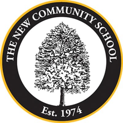 THE NEW COMMUNITY SCHOOL FOUNDATION