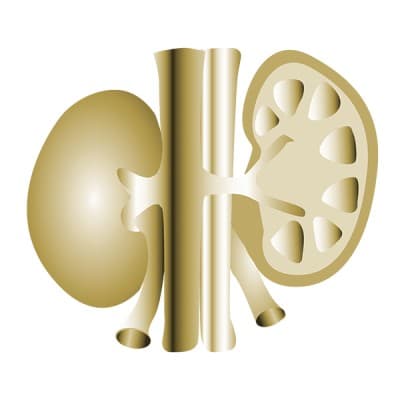 NEPHROLOGY ASSOCIATES OF SYRACUSE, P.C.