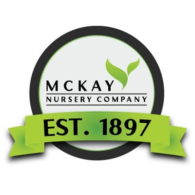 MCKAY NURSERY COMPANY