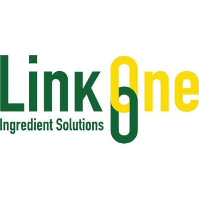 LINKONE HOLDINGS, INC.