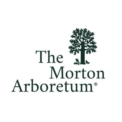 THE MORTON ARBORETUM