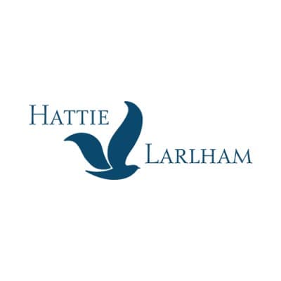 HATTIE LARLHAM CENTER FOR CHILDREN WITH DISABILITIES DBA HATTIE LARLHA