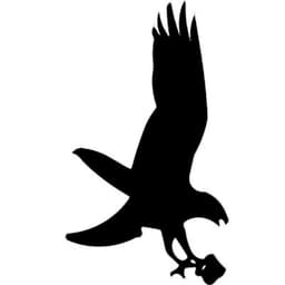 KNIGHT HAWK COAL, LLC