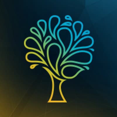 SPRING VENTURE GROUP, LLC