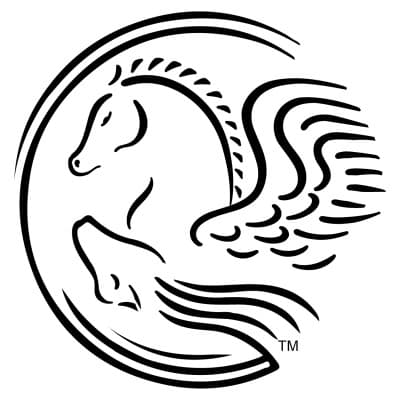 LINDAMOOD-BELL LEARNING PROCESSES