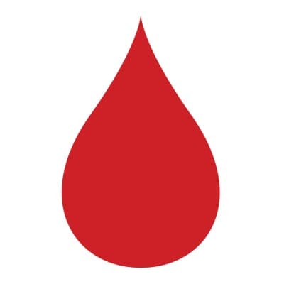 THE LEUKEMIA & LYMPHOMA SOCIETY, INC. 403(B) PLAN