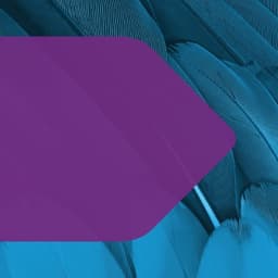 DENTONS SIROTE, P. C.