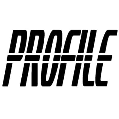 PROFILE CUSTOM EXTRUSIONS, LLC