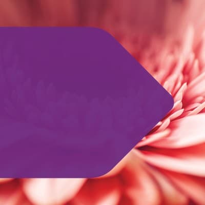 DENTONS BINGHAM GREENEBAUM LLP