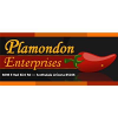 PLAMONDON ENTERPRISES, INC.