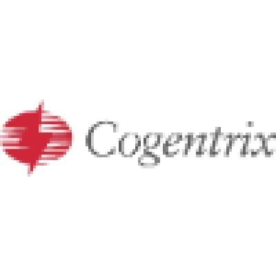 COGENTRIX ENERGY POWER MANAGEMENT, LLC