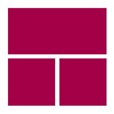 TAKASAGO INTERNATIONAL CORP. (USA)