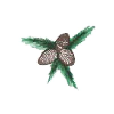 CIMARRON LUMBER AND SUPPLY COMPANY