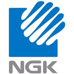 NGK METALS CORPORATION