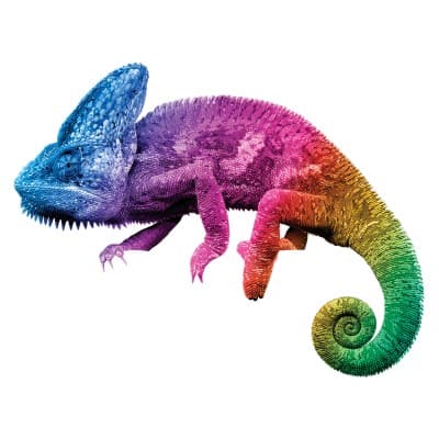 ACCURATE BOX COMPANY, INC.