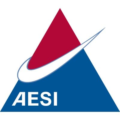 ADVANCED ENGINEERING SOLUTIONS, INC